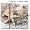 60 x 30 TOTAL - Starfish and Seashell - Metal Print wall art. 3 Panel split, Triptych HD aluminum panels wall decor view 3