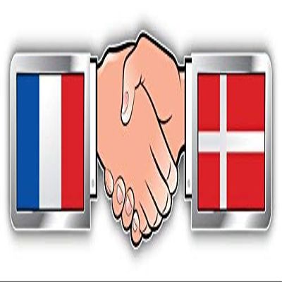 DG Graphics France Denmark Hand Shaking Flags Art Decor 8'' x 2'' Magnet Vinyl Magnetic Sheet for Lockers, Cars, Signs, Refrigerator