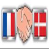DG Graphics France Denmark Hand Shaking Flags Art Decor 8'' x 2'' Magnet Vinyl Magnetic Sheet for Lockers, Cars, Signs, Refrigerator view 1