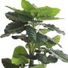 AMERIQUE 5.5 Feet Hawaiian Punch Elephant Ear Colocasia Artificial Plant with Giant Striking Green Leaves, UV Protection, Pre-Potted with Nursery Pot, Feel Real Technology view 3