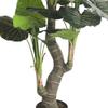 AMERIQUE 5.5 Feet Hawaiian Punch Elephant Ear Colocasia Artificial Plant with Giant Striking Green Leaves, UV Protection, Pre-Potted with Nursery Pot, Feel Real Technology view 4