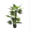 AMERIQUE Gorgeous 5' Tropical Fan Palm Arecaceae Tree Artificial Silk Plant with UV Protection, with Nursery Plastic Pot, Feel Real Technology, Super Quality, 5 Feet, Green view 1