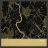 Rome Straw Wall Map Black Wood Frame 12 x 18 in view 1