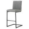 New Pacific Direct Ronan PU Leather Counter, Set of 2 Bar & Counter Stools, Antique Graphite Gray view 1