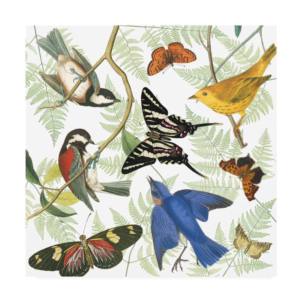 Trademark Fine Art Natures Flight II by Wild Apple Portfolio, 24x24