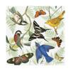 Trademark Fine Art Natures Flight II by Wild Apple Portfolio, 24x24 view 1
