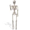 3 Foot Posable Human Skeleton - Halloween Decorations view 1