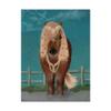 Trademark Fine Art Horse Brown Pony with Bells, Full by Fab Funky, 14x19 view 1