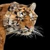 Fabric Textile Products Tiger Pixel Throw Blanket 50"x60" view 2