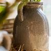RusticReach Binglie Glazed Pottery Vase with Handles view 4