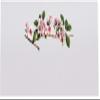 Pink Cherry Blossoms Place Cards, Set of 150, Pre-cut and Scored - Wedding, Party, Dinner, and Special Events - Made in the USA view 3