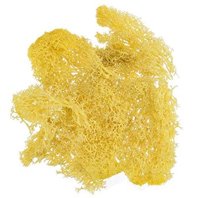 ShineBear 1pcs 10g Colorful Natural Artificial Moss Fake Plants Preserved Dried Artificial Craft Flower Docoration for Home Garden Party - (Color: Yellow)
