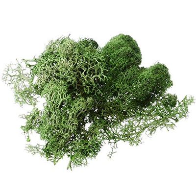 ShineBear 1pcs 10g Colorful Natural Artificial Moss Fake Plants Preserved Dried Artificial Craft Flower Docoration for Home Garden Party - (Color: Light Green)