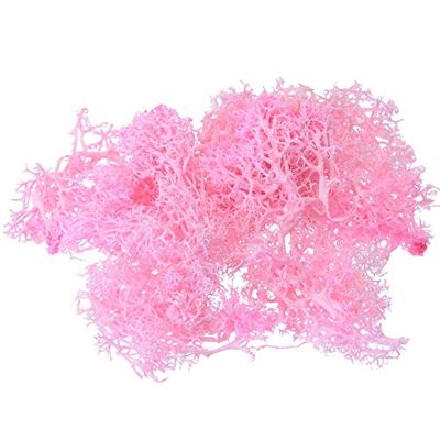 ShineBear 1pcs 10g Colorful Natural Artificial Moss Fake Plants Preserved Dried Artificial Craft Flower Docoration for Home Garden Party - (Color: Pink)