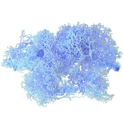 ShineBear 1pcs 10g Colorful Artificial Moss Plant DIY Dried Reindeer Moss Artificial Craft Flowers for Plant Pot Garden Home Wedding Decor - (Color: Grey Blue)