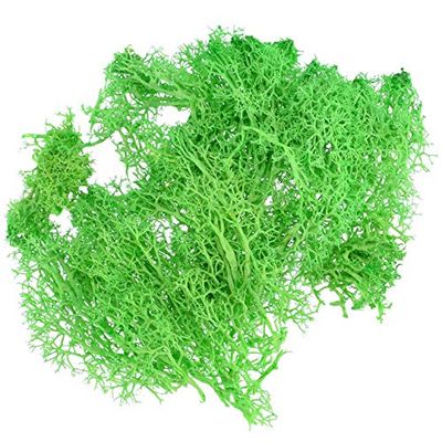 ShineBear 1pcs 10g Colorful Natural Artificial Moss Fake Plants Preserved Dried Artificial Craft Flower Docoration for Home Garden Party - (Color: Green)