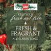 Forest Fresh Christmas Tree Preservative Tablets Tree Water Additive for Live Fresh-Cut Trees Keeps Trees Hydrated and Reduces Needle Drop Non-Toxic, Made in USA 1 Packet (8 Tablets) view 3