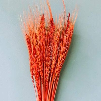 ShineBear 25pcs Artificial Wheat Photography Wedding Decoration DIY Crafts Decorate Artificial Flowers Festive Party Grain - (Color: RD)