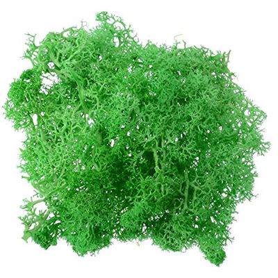 ShineBear 1pcs 10g Colorful Natural Artificial Moss Fake Plants Preserved Dried Artificial Craft Flower Docoration for Home Garden Party - (Color: Dark Green)