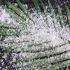 500g Christmas Decoration Magic Snow DIY Instant Artificial Snow Powder Simulation Fake Perform Prop Party Children Playing view 1