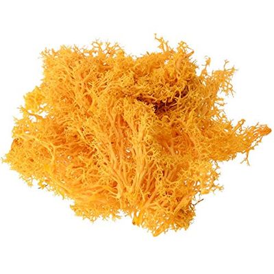 ShineBear 1pcs 10g Colorful Natural Artificial Moss Fake Plants Preserved Dried Artificial Craft Flower Docoration for Home Garden Party - (Color: Orange)