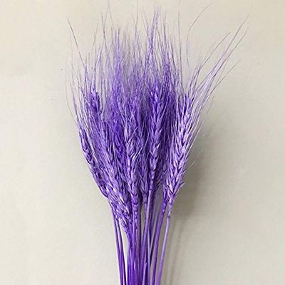 ShineBear 25pcs Artificial Wheat Photography Wedding Decoration DIY Crafts Decorate Artificial Flowers Festive Party Grain - (Color: PP)