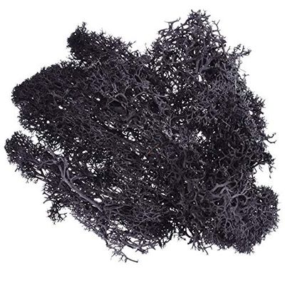 ShineBear 1pcs 10g Colorful Natural Artificial Moss Fake Plants Preserved Dried Artificial Craft Flower Docoration for Home Garden Party - (Color: Black)