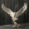 Veronese Design 13 Inch Tall Snowy Owl Flight Resin Sculpture Hand Painted Finish view 3