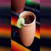 12 Oz. Mexican Red Clay Traditional Authentic Cantarito De Barro Jarrito (10) Cantaritos view 4