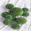 A&B Home 29402 Faux Boxwood Ball, Green view 4