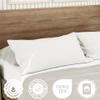 20x30 Pillow Insert Pillows Queen Size Set of 1 for Side Sleeper Pillow by Looms and Linens Pillows American Made Pillow 20 x 30 inch Sleeping Pillow Insert for Bedroom view 2