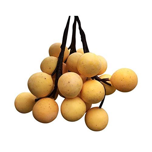 3 Bunches of Artificial Langsad Thai Fake Fruit