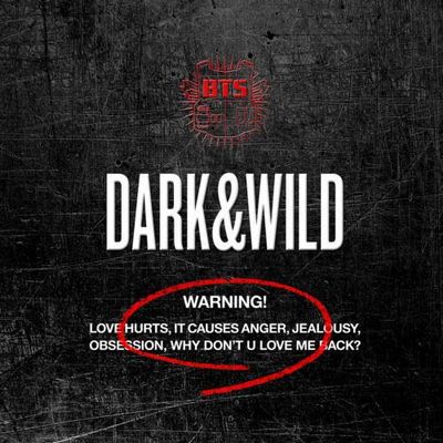 BigHit BTS Bangtan Boys - Dark & Wild (Vol.1) 1CD+100p Photobook+2Photocards+Double Side Extra Photocards Set