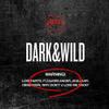 BigHit BTS Bangtan Boys - Dark & Wild (Vol.1) 1CD+100p Photobook+2Photocards+Double Side Extra Photocards Set view 1