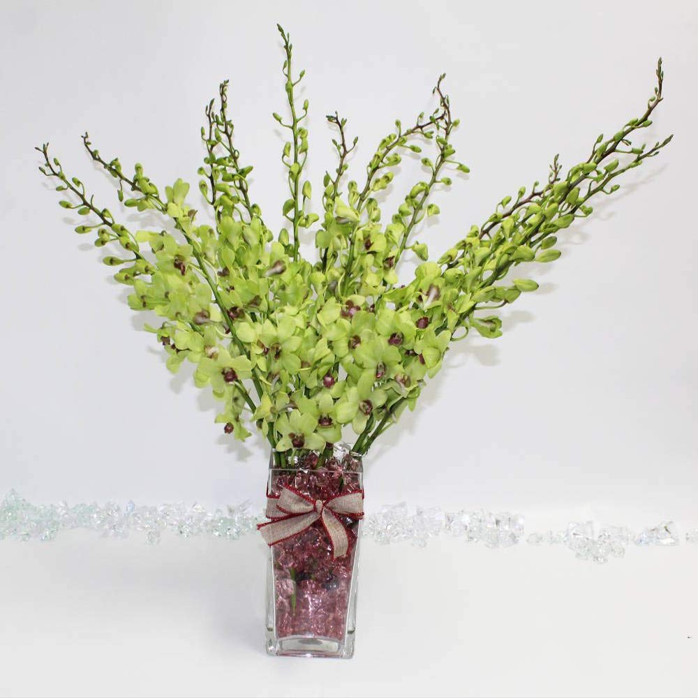 Athena's Garden Fresh Cut Orchids 20 Sleek Vase Rocks, Long Stem, Jade Green