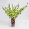 Athena's Garden Fresh Cut Orchids 20 Sleek Vase Rocks, Long Stem, Jade Green view 1