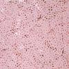 Baby Confetti Baby Word, Baby Girl It's a Girl - 3 Pack (1.5 oz) #3051 view 4