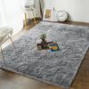 Andecor Soft Fluffy Bedroom Rugs, 4 x 6 Feet Indoor Shaggy Plush Area Rug for Boys Girls Kids Baby College Dorm Living Room Home Decor Floor Carpet, Grey view 1
