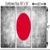 60 x 30 TOTAL - Japanese Flag Silver Grunge - Metal Print wall art. 3 Panel split, Triptych. HD aluminum multi panel view 3