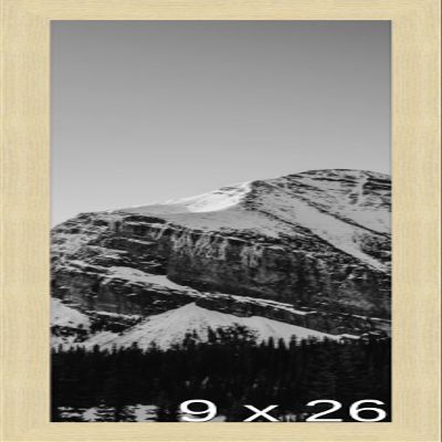 Frame It Easy 9 x 26 Wheat Wood Frame (Derby)