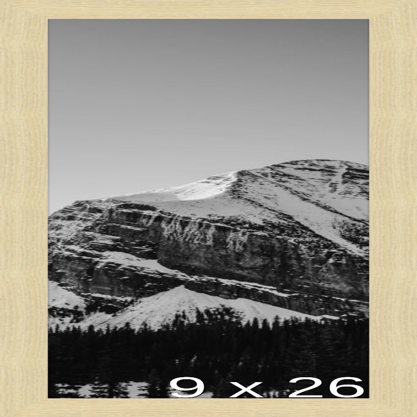 Frame It Easy 9 x 26 Wheat Wood Frame (Derby)