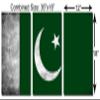 36 x 18 TOTAL - Pakistan Flag Grunge - Metal Print wall art. 3 Panel split, Triptych. HD aluminum multi panel prints view 3