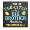 Canary Road Personalized Easter Big Brother Pregnancy Announcement Art Print | Pregnancy Announcement Sign | Baby Announcement Photo Prop | Big Brother Sign | New Baby Sign | Easter Baby Announcement view 2