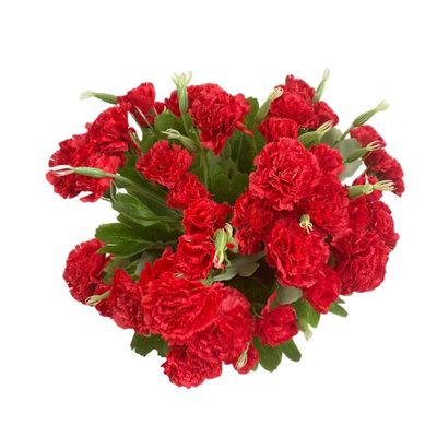 Leoyoubei 4 Bunches Bouquet of Artificial Silk Flower Carnations11 inch Bouquet and Green Leaf for Home Decoration Bridal Wedding Festival Decoration with 10 Per Bunch Flower (Red)