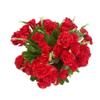 Leoyoubei 4 Bunches Bouquet of Artificial Silk Flower Carnations11 inch Bouquet and Green Leaf for Home Decoration Bridal Wedding Festival Decoration with 10 Per Bunch Flower (Red) view 1