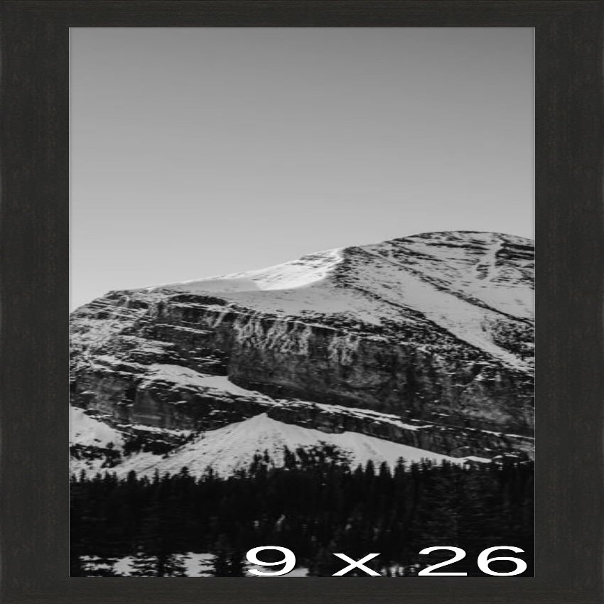 Frame It Easy 9 x 26 Coffee Wood Frame (Derby)