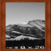 Frame It Easy 9 x 26 Russet Wood Frame (Derby) view 1