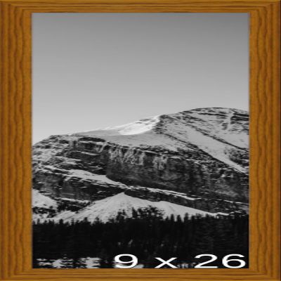 Frame It Easy 9 x 26 Hazel Wood Frame (Derby)