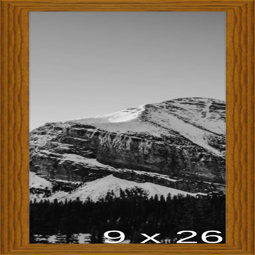 Frame It Easy 9 x 26 Hazel Wood Frame (Derby)