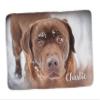 Pawpillo Pet Memorial Custom Photo Plush Sherpa Throw Blanket Large 60" x 80" view 1